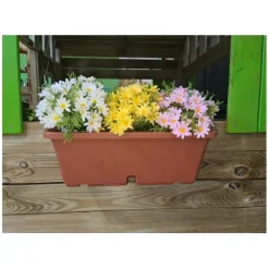 MASGAMES Casita Lollipop verde