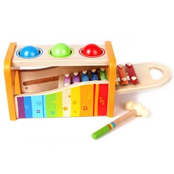 HAPE Golpea pelotas xilófono