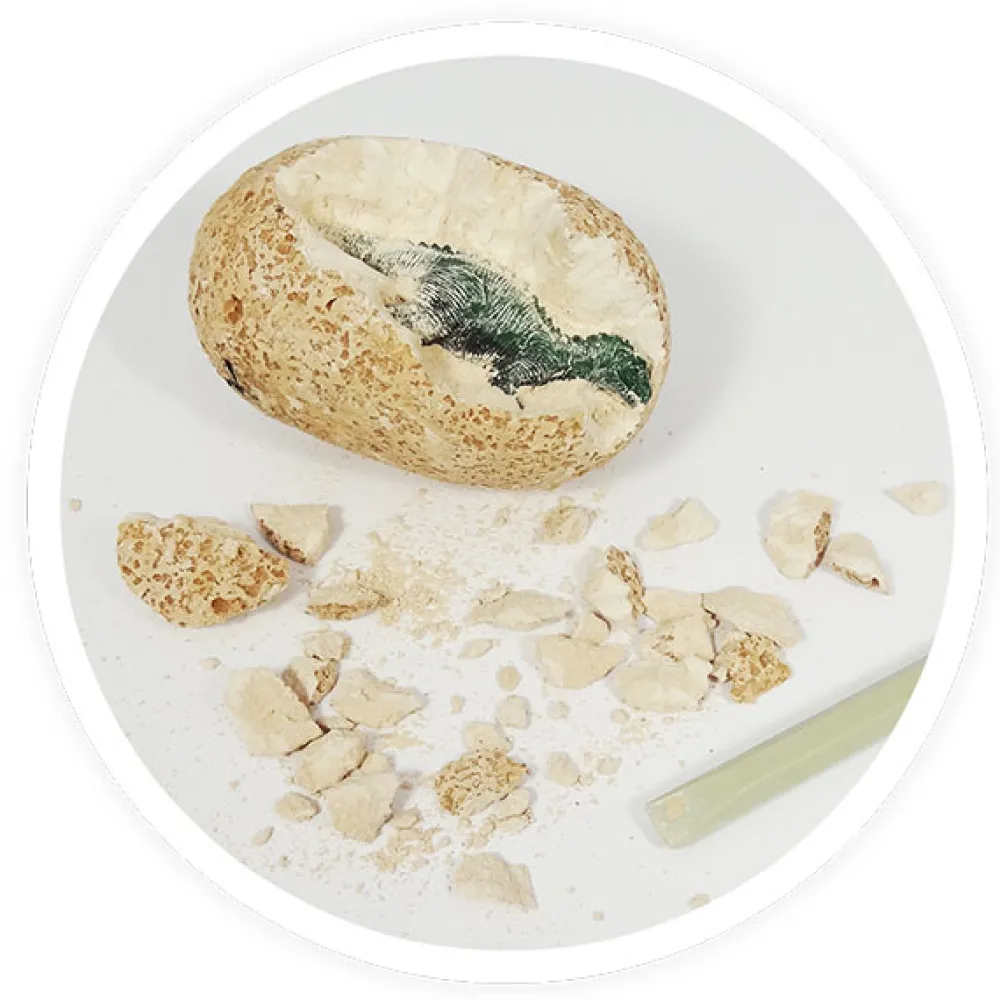 EUREKAKIDS Huevos dinosaurio