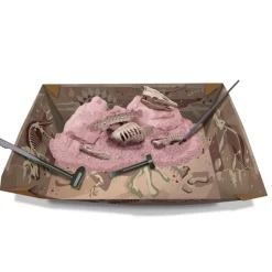 4M Kidz Labs Kit Geológico Esqueleto de Mosasaurus