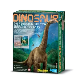 4M KidzLabs paleontología esqueleto Brachiosaurus