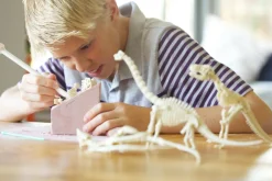 4M Kit Geológico de un Triceratops – Kidz Labs