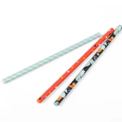 EUREKAKIDS Lápices de madera con diseño de dinosaurios