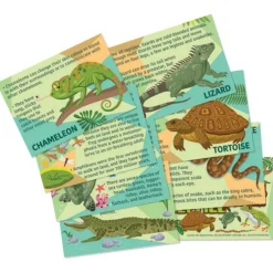 4M Moldea y Pinta Reptiles y Anfibios