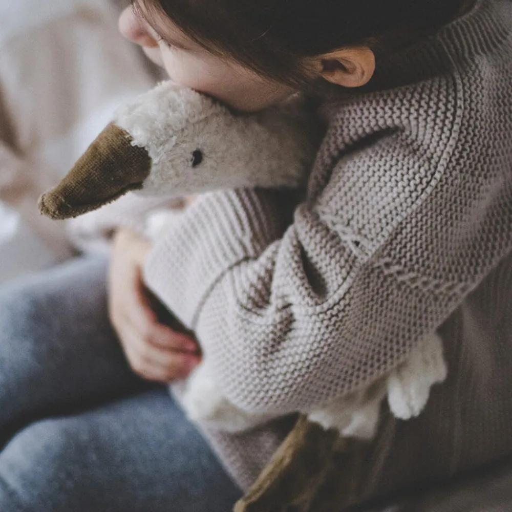 SENGER Peluche y almohada calentable – Ganso Pequeño