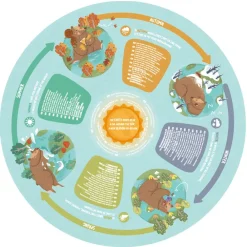 HAPE Puzle gigante circular iluminado de 16 piezas – Las 4 estaciones