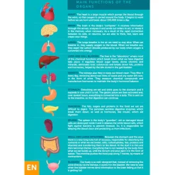 EUREKAKIDS Puzle gigante del cuerpo humano de 100 piezas